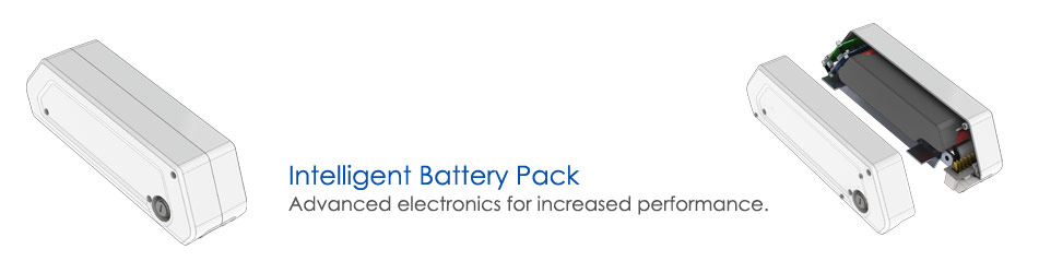 Intelligent Battery Pack